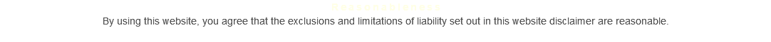 Reasonableness By using this website, you agree that the exclusions and limitations of liability set out in this website disclaimer are reasonable. 